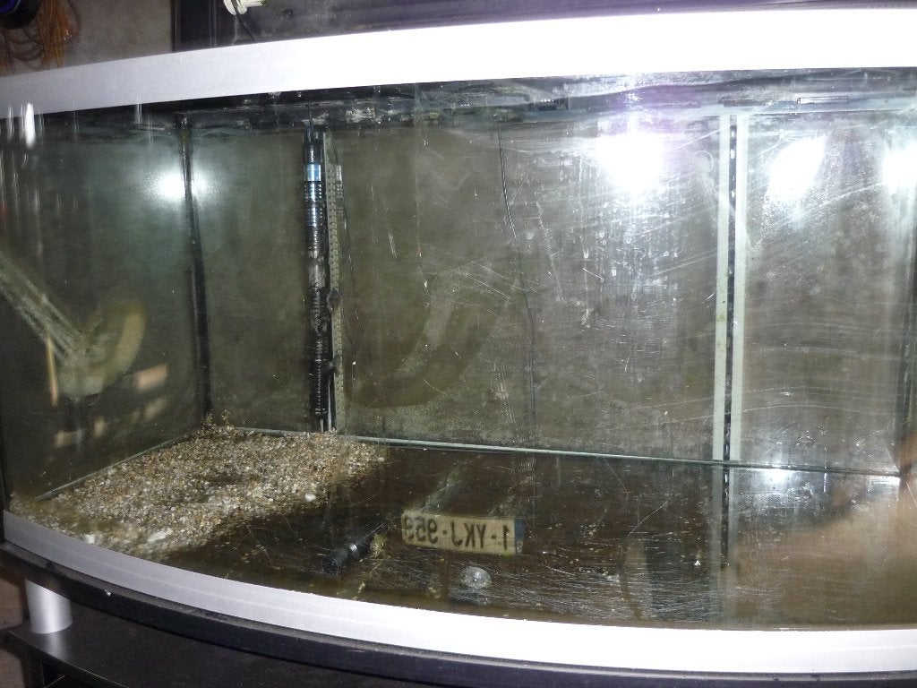 aquarium 110 cm met gebogen glas, Dieren en Toebehoren, Ophalen, Gebruikt, Aquatlantis, Inclusief deksel