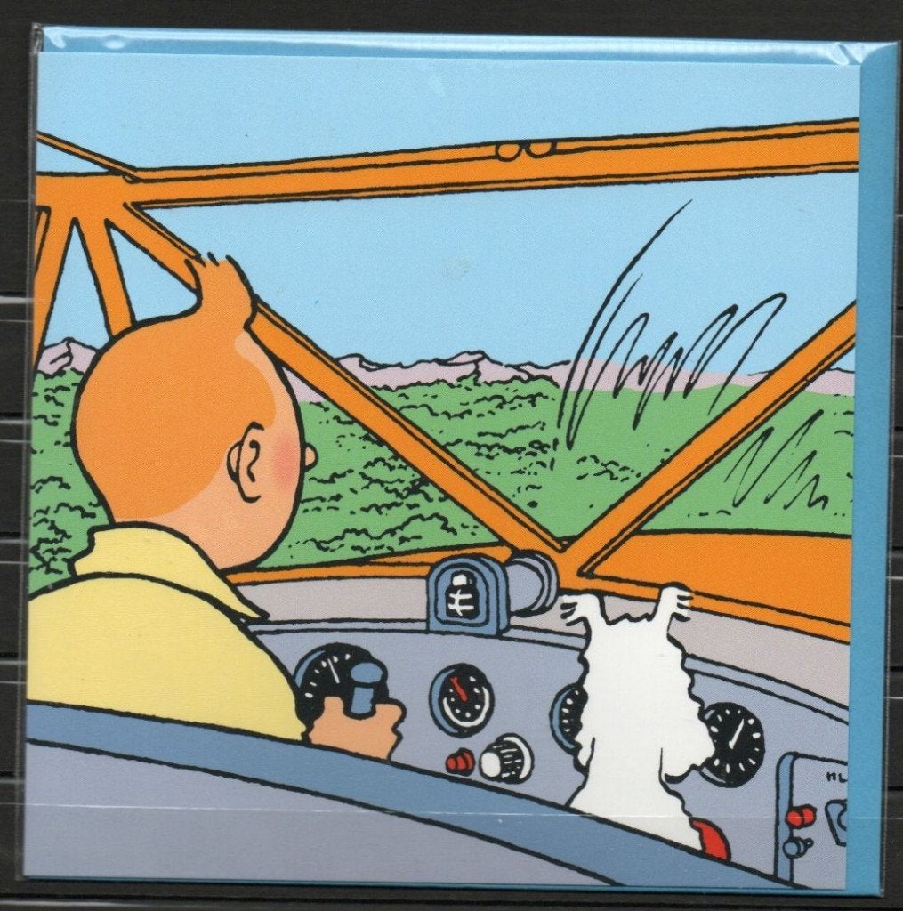 Carte postale double : Tintin - Avion, Enlèvement