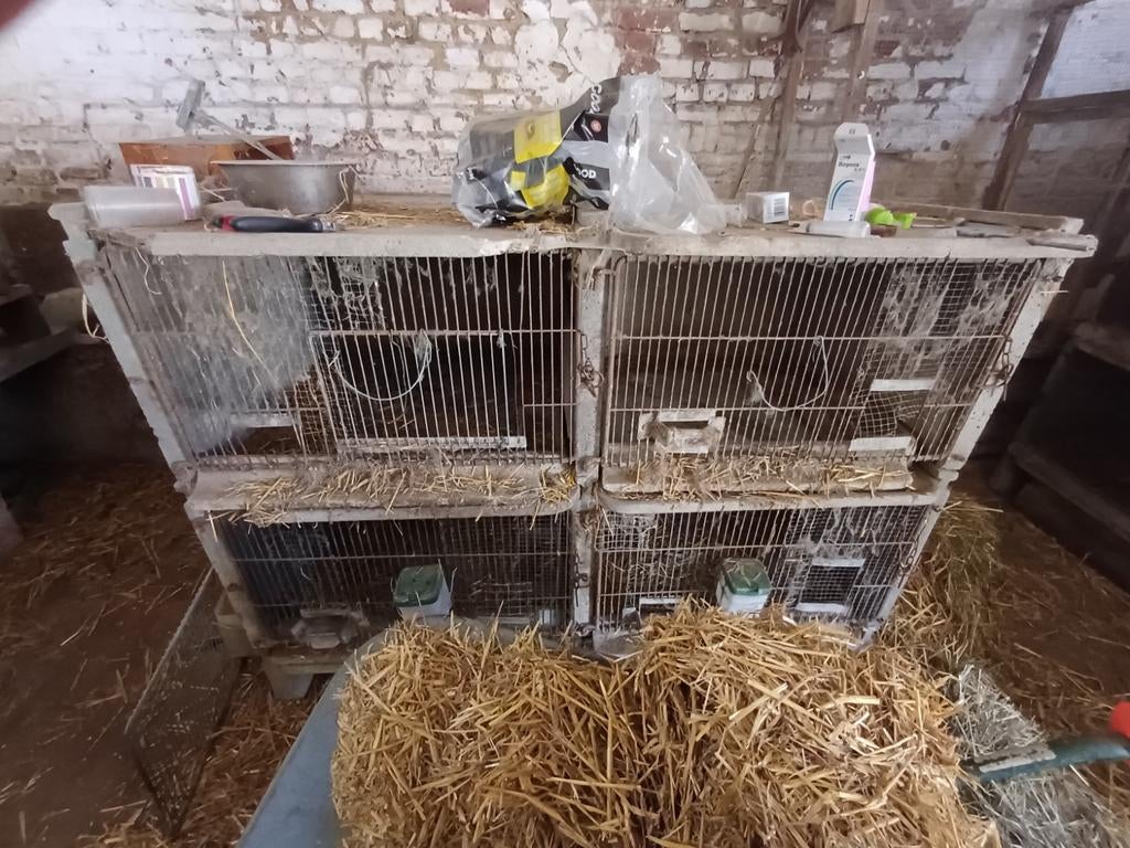 17 clapiers à vendre, Animaux & Accessoires, Rongeurs & Lapins | Cages & Clapiers