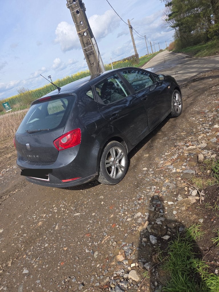 Seat ibiza, Autos, Seat, Achat, Boîte manuelle, 5 portes, Diesel