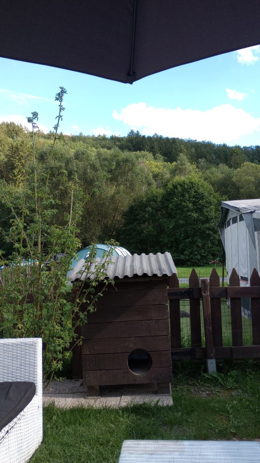 Kattenhuis, Tuin en Terras, Overkappingen, Ophalen, Gebruikt, Overige typen