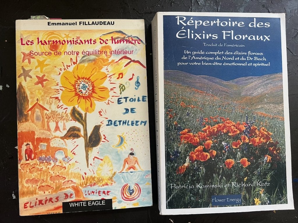 2 zeldzame boeken Bloemenelixers en lichtharmonisatoren, Ophalen, Zo goed als nieuw