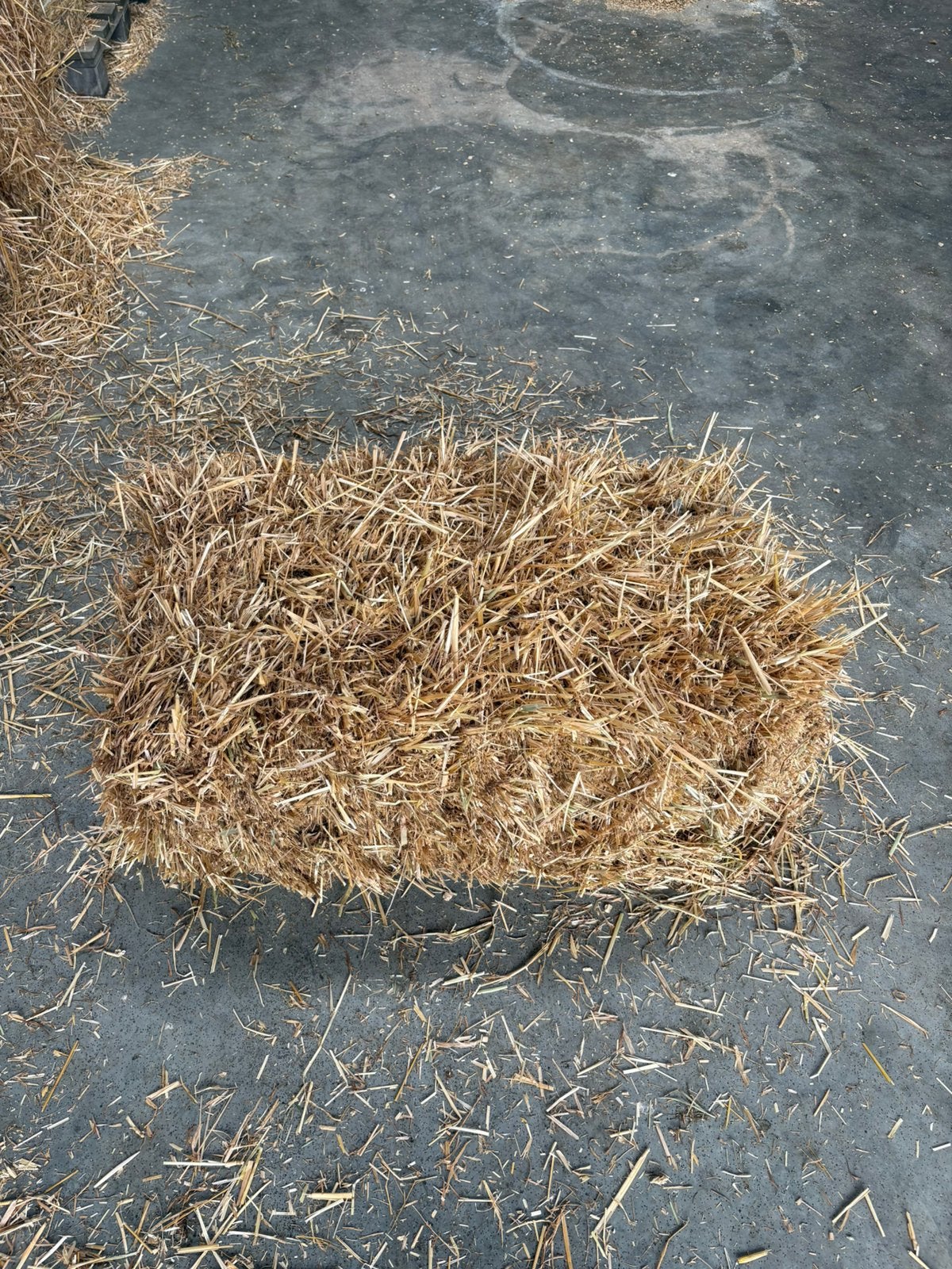 Kleine botten stro, Dieren en Toebehoren, Ophalen