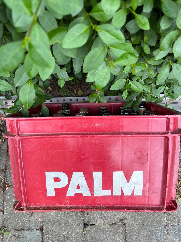 Poubelle à bière Palm, Enlèvement