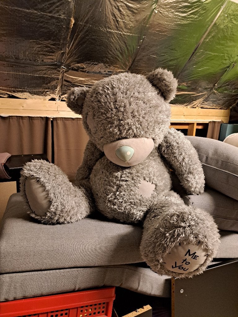 Me to you beer, Collections, Ours & Peluches, Enlèvement, Utilisé, Me To You