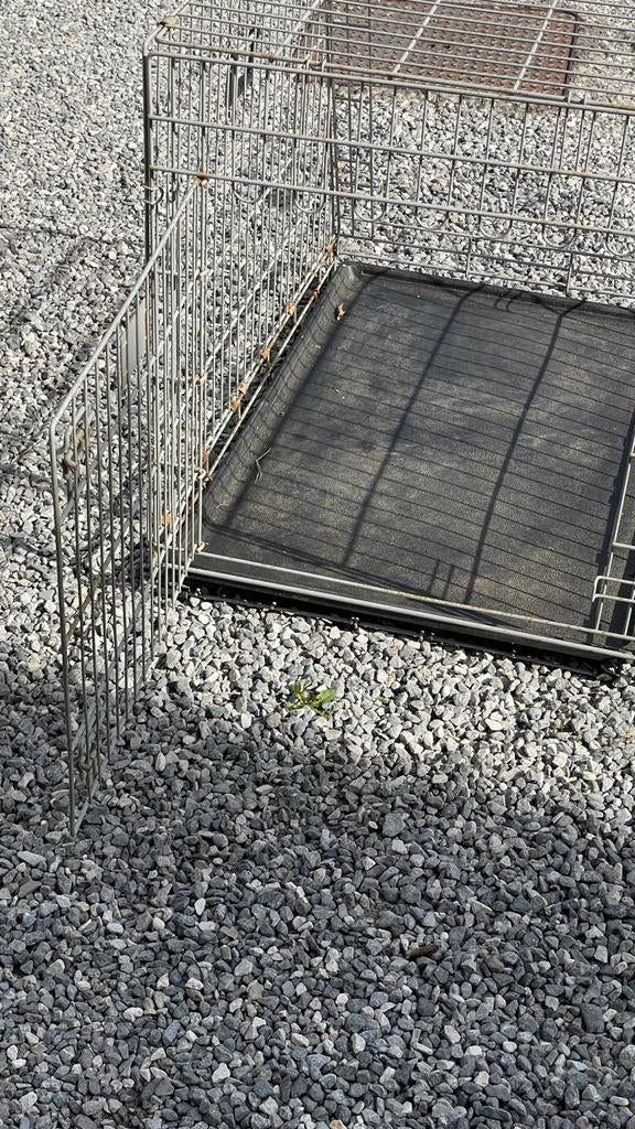 Cage pour chien, Animaux & Accessoires, Enlèvement, Utilisé