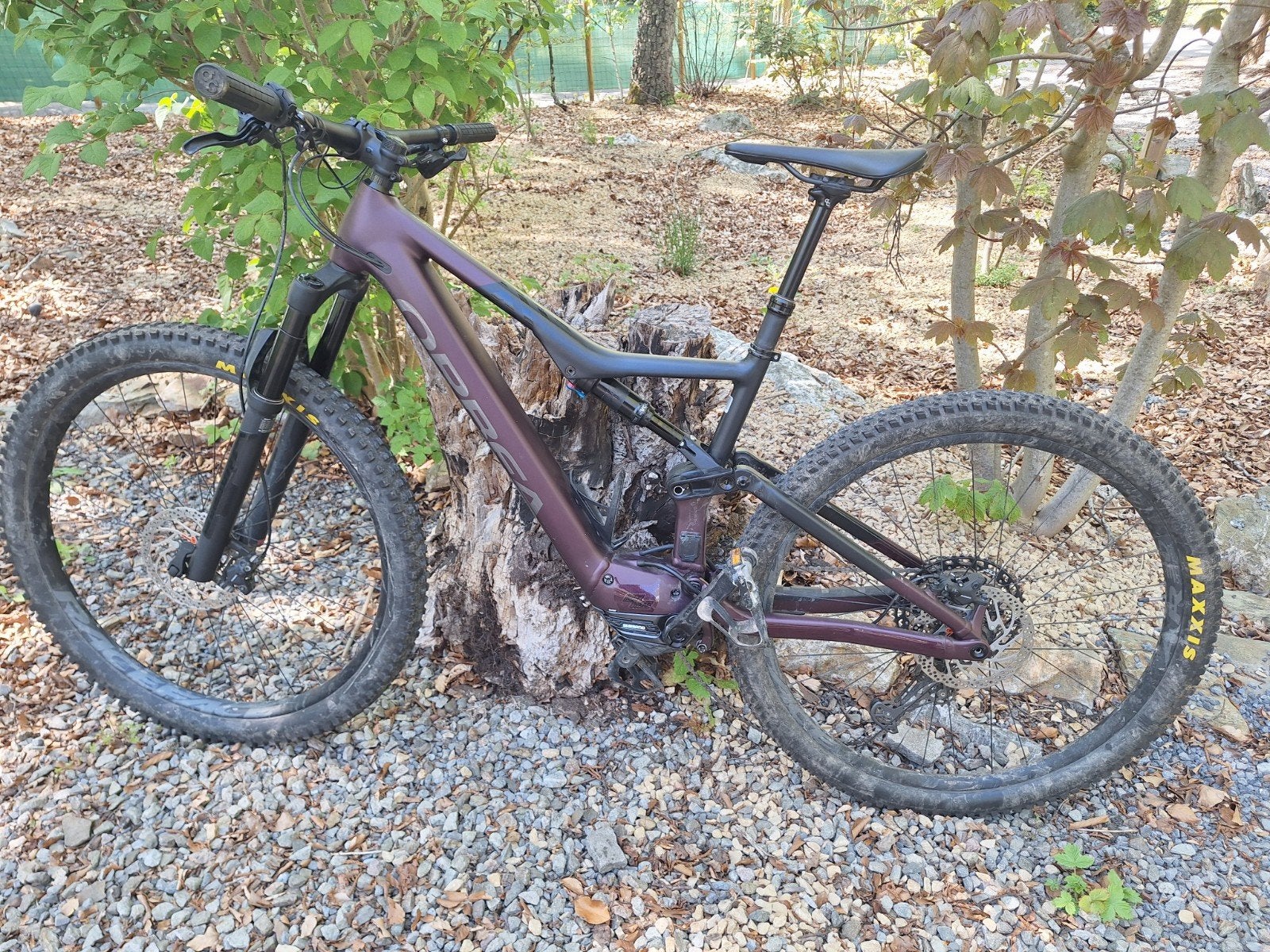 VTT Orbea Rise, Enlèvement