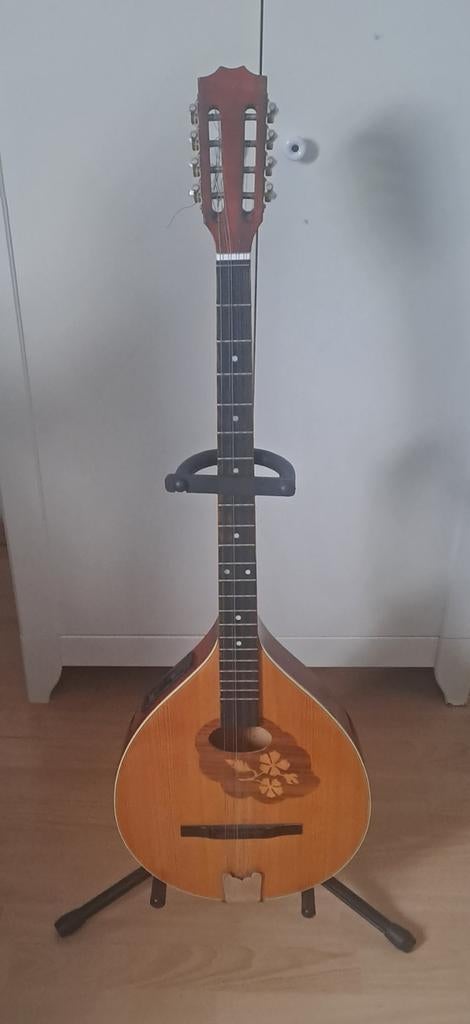 Bouzouki irlandais, Musique & Instruments, Instruments à corde | Guitares | Acoustiques, Enlèvement ou Envoi