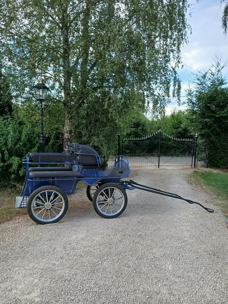 Calèche 6 places., Utilisé, Cheval