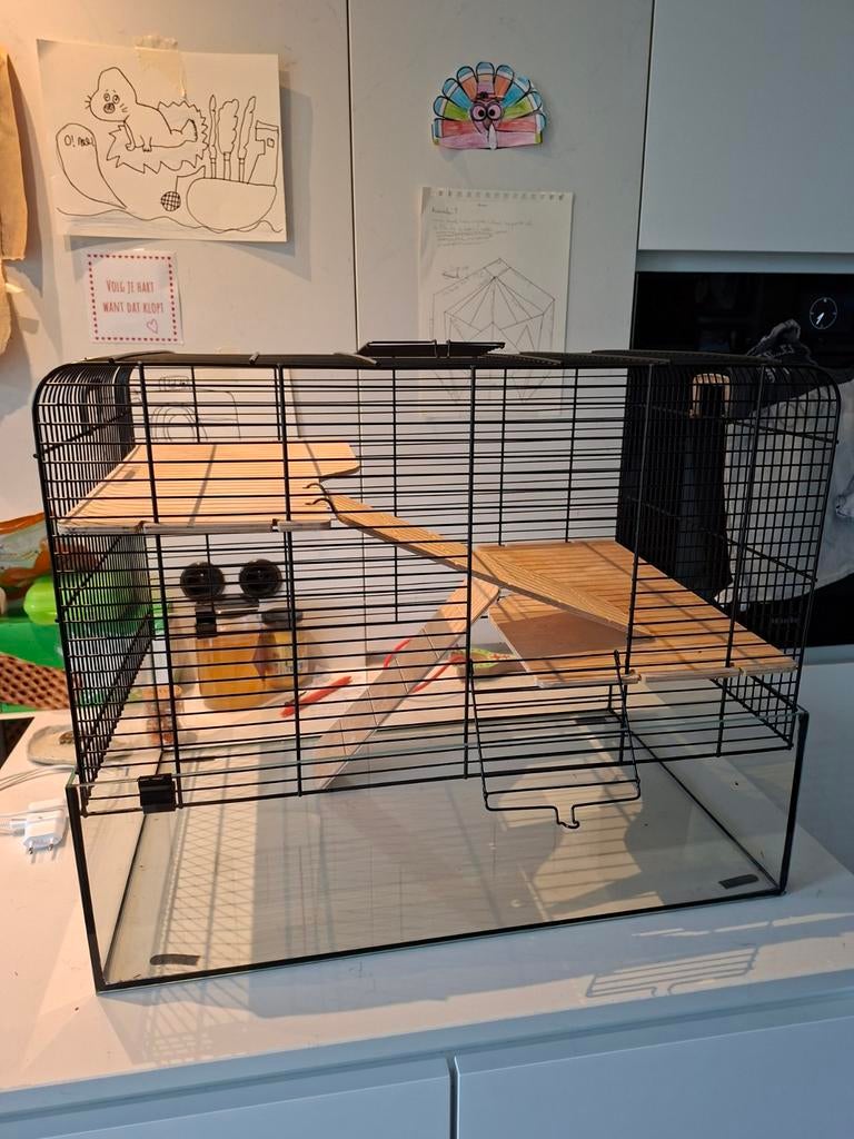 Hamsterkooi, Dieren en Toebehoren, Ophalen