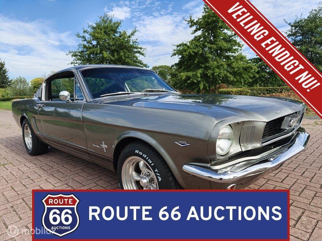 Ford Mustang Fastback C-Code | 1966 | Route 66 Auctions, Auto's, Zwart, Bedrijf, Handgeschakeld, Overige carrosserie