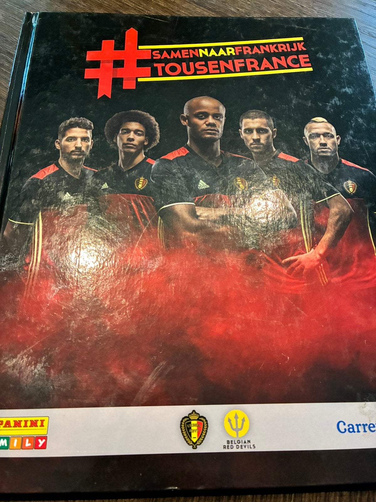 Panini - Tous En France 2016 + dubbelen (Carrefour versie), Boeken, Ophalen of Verzenden, Zo goed als nieuw