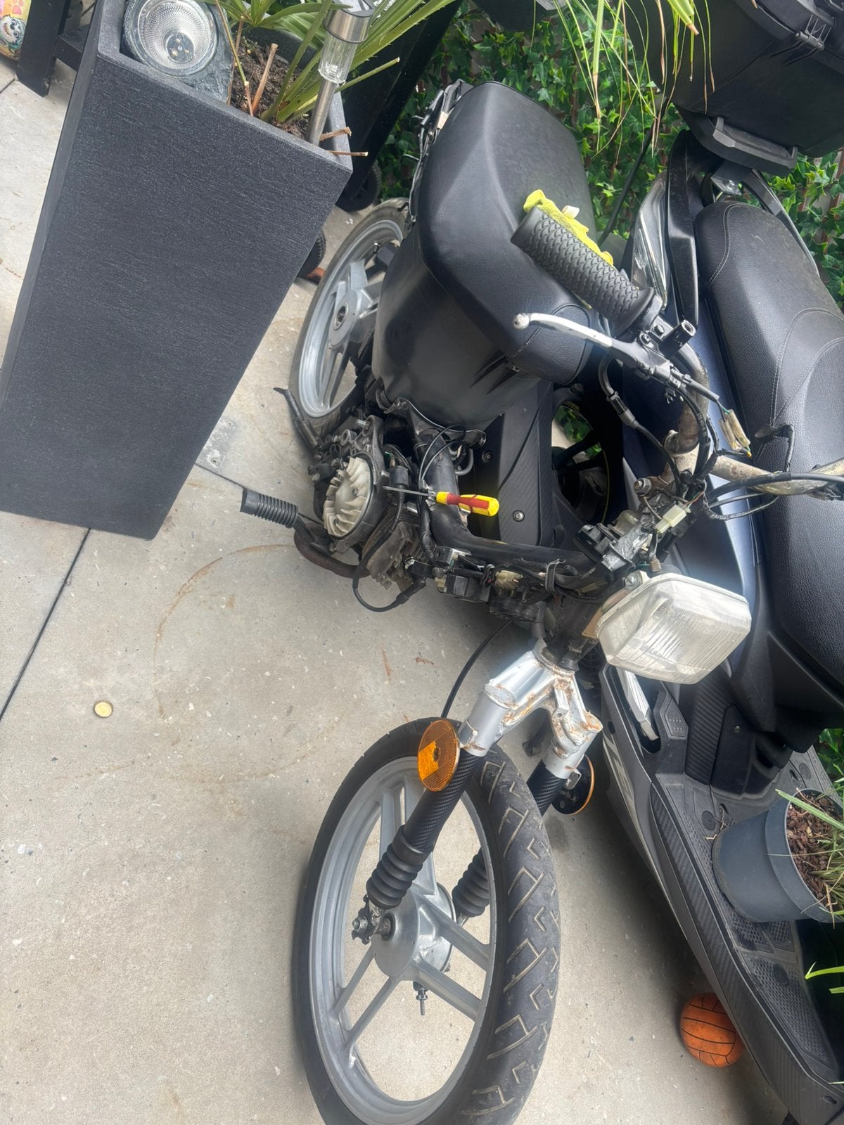 Echange Honda wallaroo classe A, Fietsen en Brommers, Brommers | Derbi, Ophalen, Zo goed als nieuw