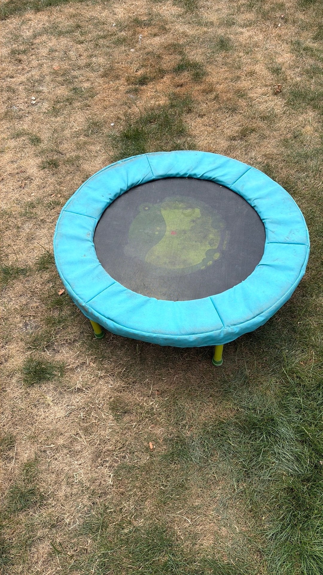 Mini trampoline Decathlon, Enlèvement, Utilisé