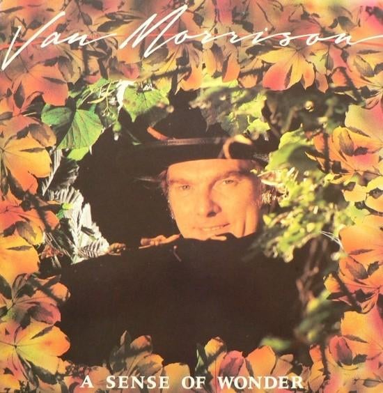 Van Morrison – A Sense Of Wonder, Cd's en Dvd's, Vinyl | Rock, Gebruikt, Ophalen of Verzenden, 12 inch, Poprock