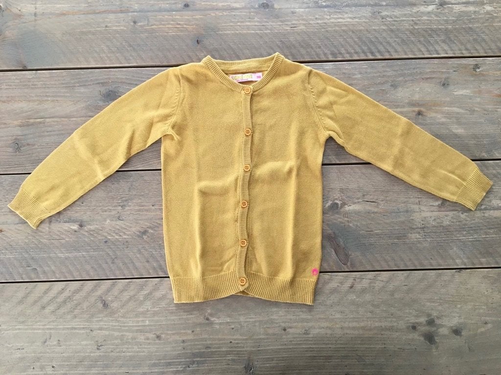 Cardigan et cardigan ocre SOMEONE 110, Enlèvement ou Envoi, Someone, Fille, Pull ou Veste