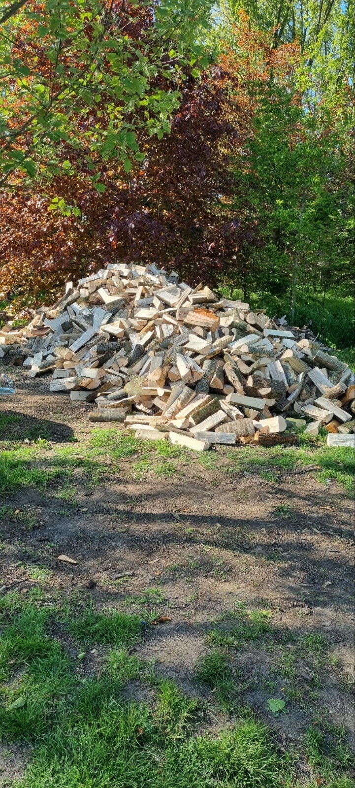 brandhout, Jardin & Terrasse, Bois de chauffage, Enlèvement