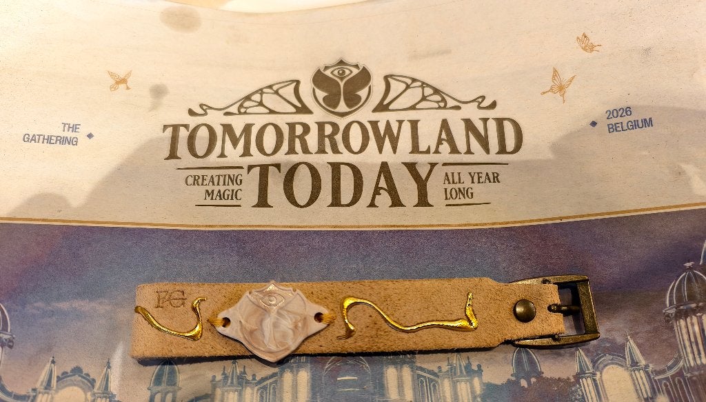 Tomorrowland W1 with camping. Day pass possible, Tickets en Kaartjes