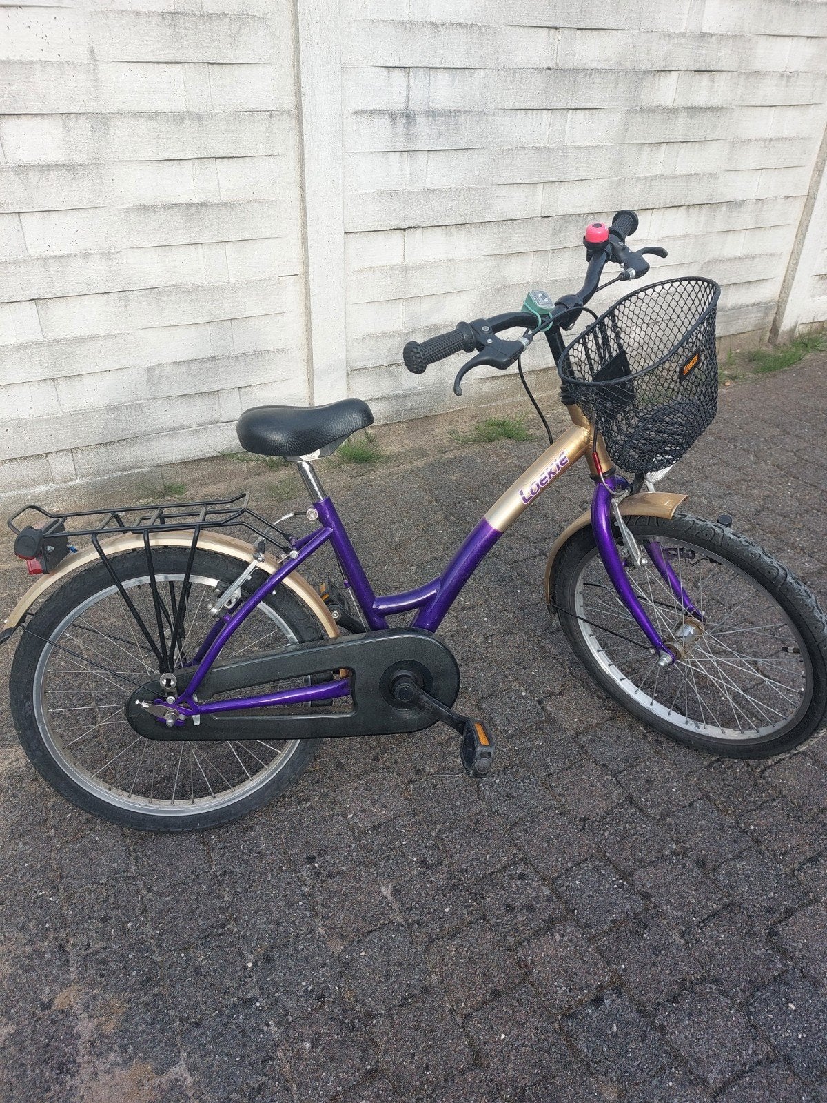 Meisjesfiets 20 inch, Fietsen en Brommers, Ophalen, 20 inch
