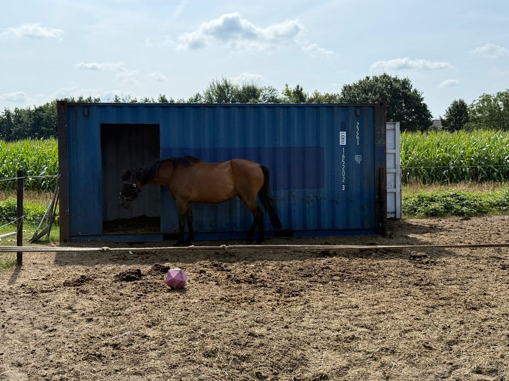 Container paarden, Ophalen