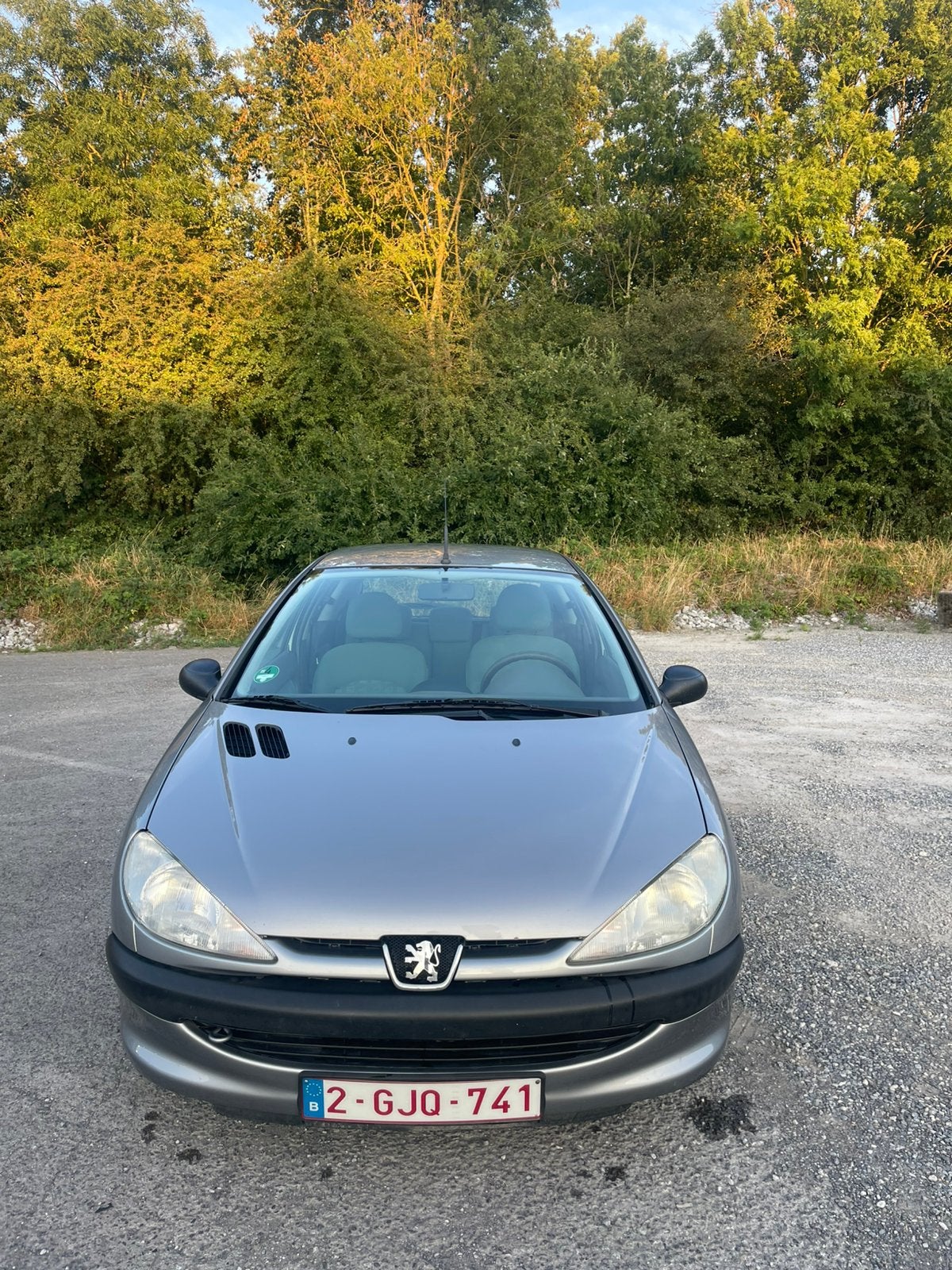 Peugeot 206, Argent ou Gris, Achat, 5 places, Particulier