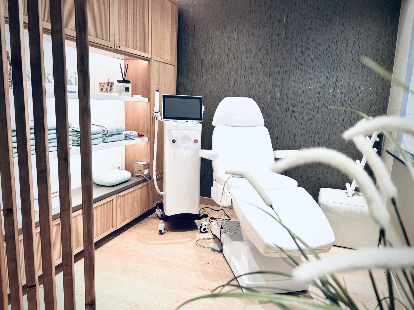 Professionele ontharings/tattoo-laser, Audio, Tv en Foto, Professionele apparaten, Ophalen