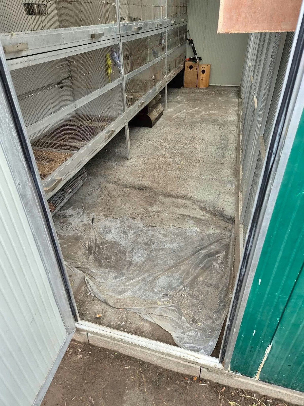 voliere  te koop met vogels, Enlèvement