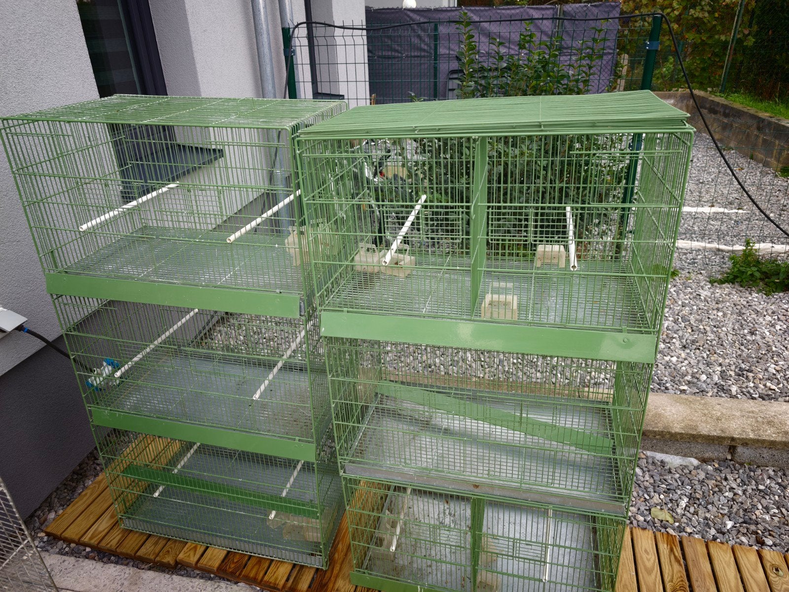 6 domuskooien van 71 cm, Ophalen