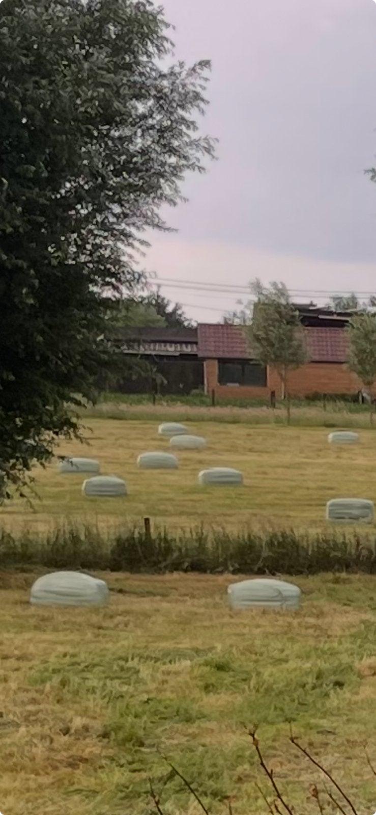 Voordroog hooi, kleine balen, Dieren en Toebehoren
