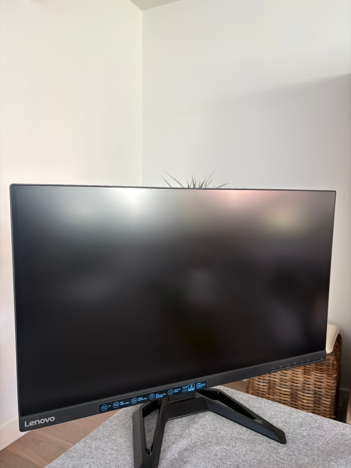 Lenovo scherm, Gaming, Zo goed als nieuw, 61 t/m 100 Hz, DisplayPort
