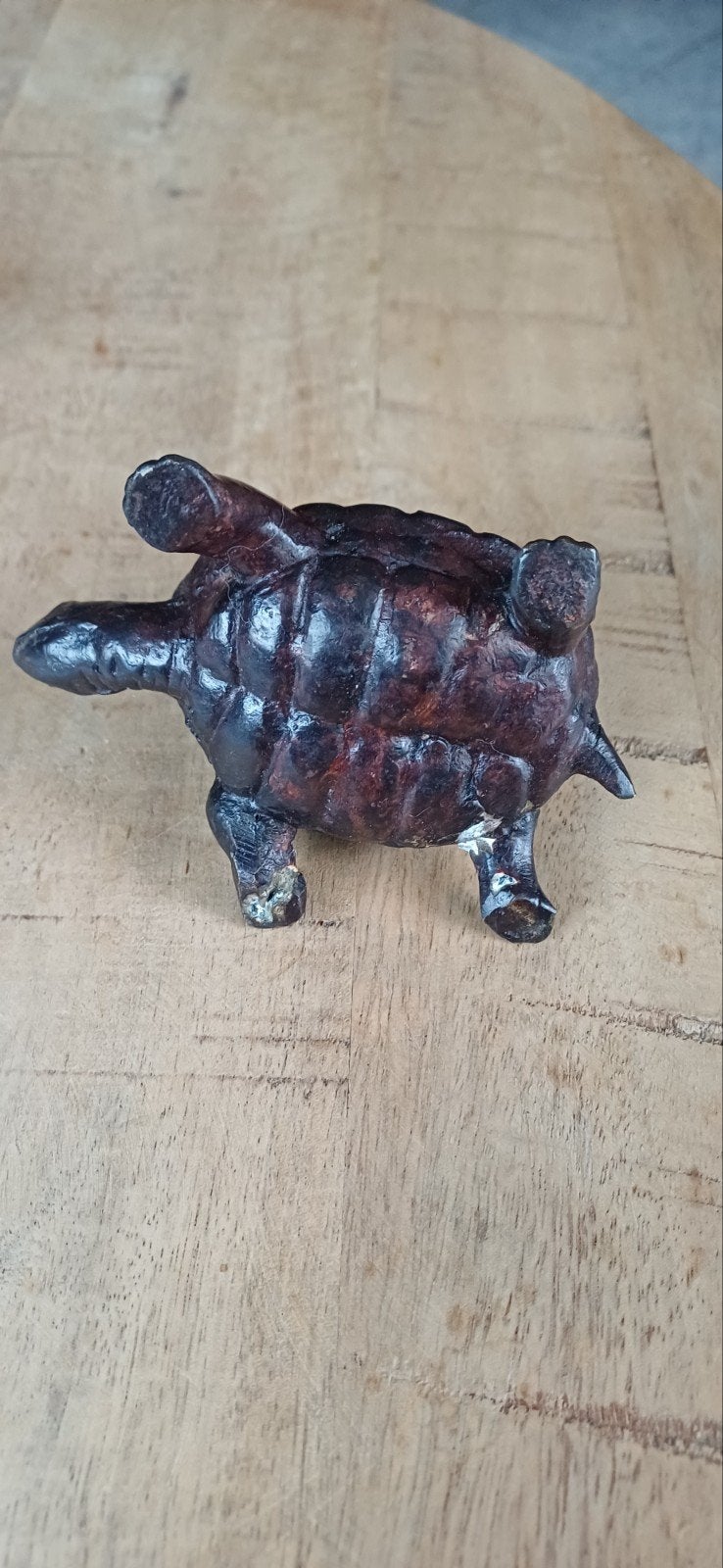 schildpad, Verzamelen, Ophalen