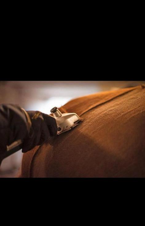 Scheren van paarden/pony’s, Dieren en Toebehoren