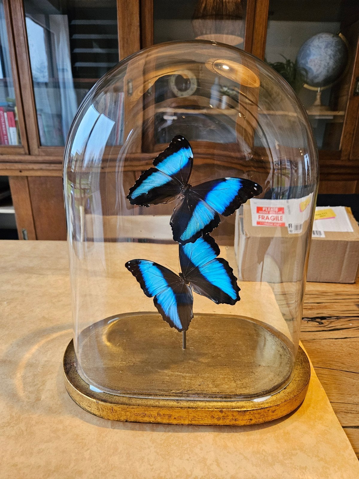 Stolp met prachtige vlinders, Antiek en Kunst, Ophalen