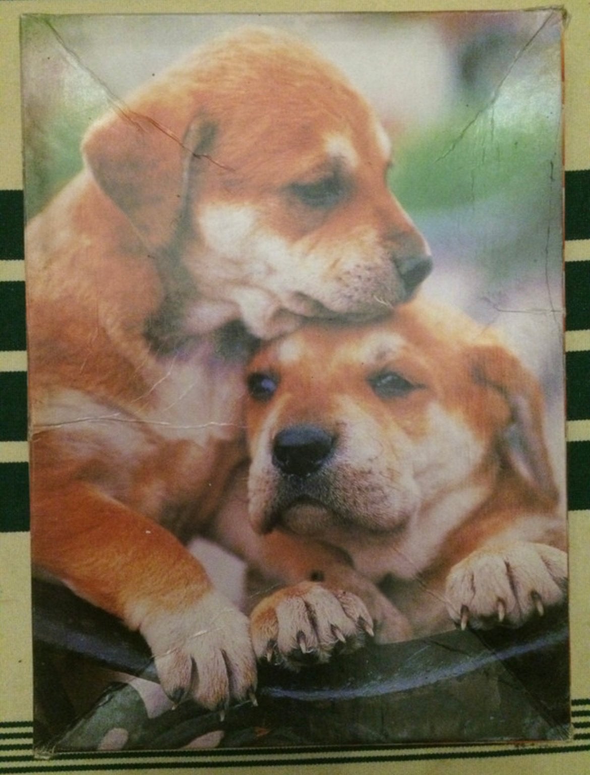 Puzzel Thema Honden 20 stukjes, Enlèvement ou Envoi, 10 à 50 pièces, Utilisé, 4 à 6 ans