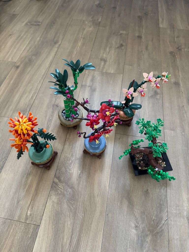 Gebouwde Botanicals (10344 - 10343 - 10368 - 10369 - 10281), Ophalen, Gebruikt, Meerdere sets, Lego