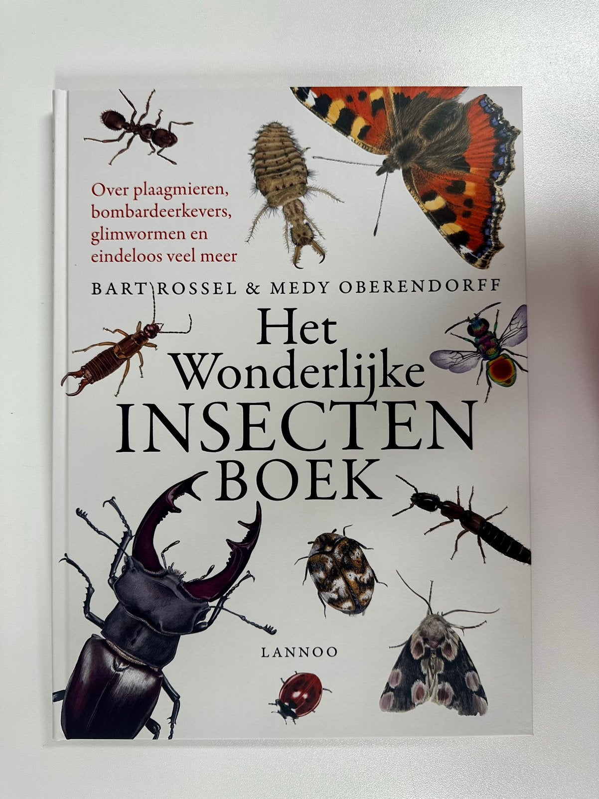 Het wonderlijke indectenboek Lannoo, Boeken, Ophalen of Verzenden, Nieuw