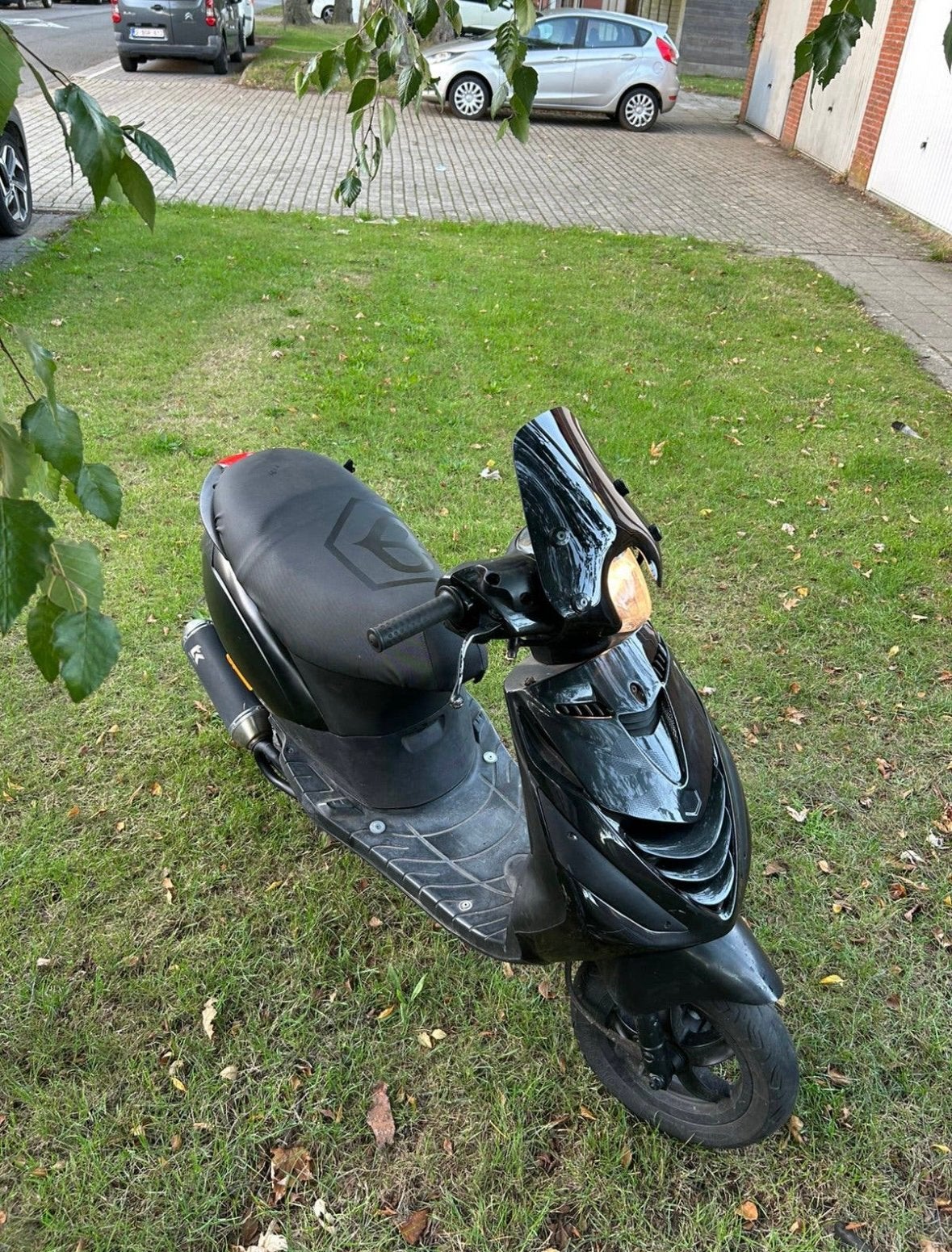 Zip a klasse, Enlèvement, Zip