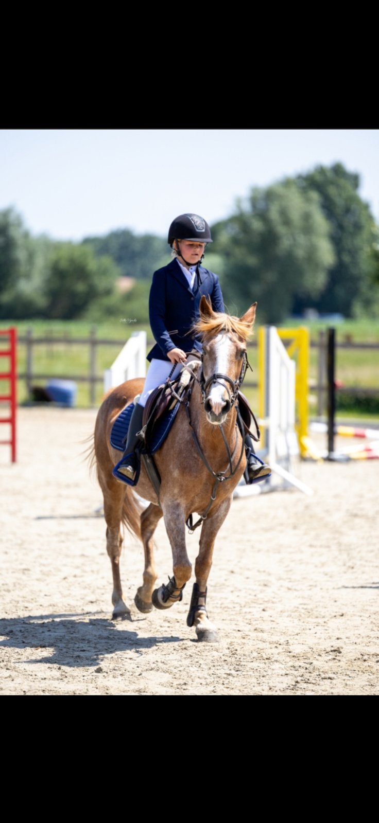 perfect eerste pony !, Dieren en Toebehoren, Merrie
