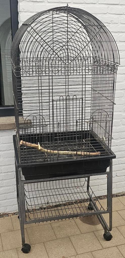 Vogel, papegaaienkooi te koop., Dieren en Toebehoren, Vogels | Hokken en Kooien, Ophalen