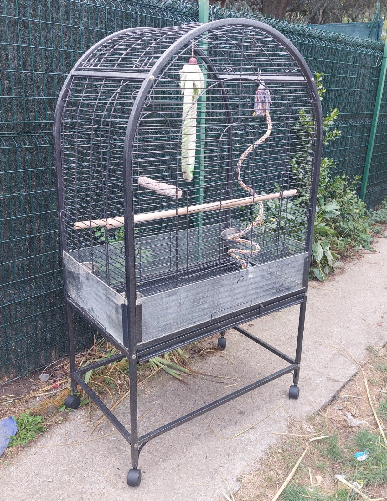 Cage à perroquet, Enlèvement, Utilisé, Métal, Cage à oiseaux