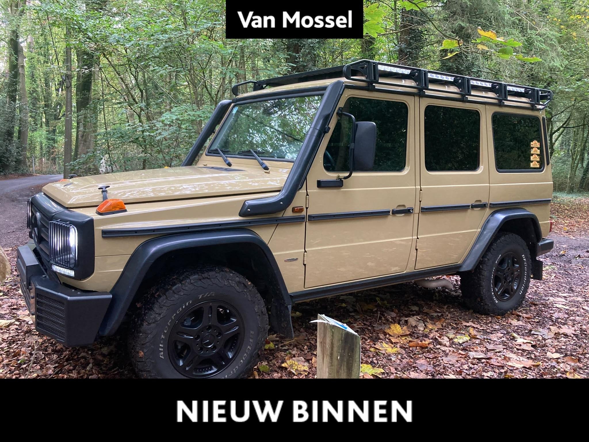 Mercedes-Benz G-Klasse 350 d + PROFFESSIONAL + LICHTE VRACHT, Autos, Argent ou Gris, Achat, 2987 cm³, Euro 6