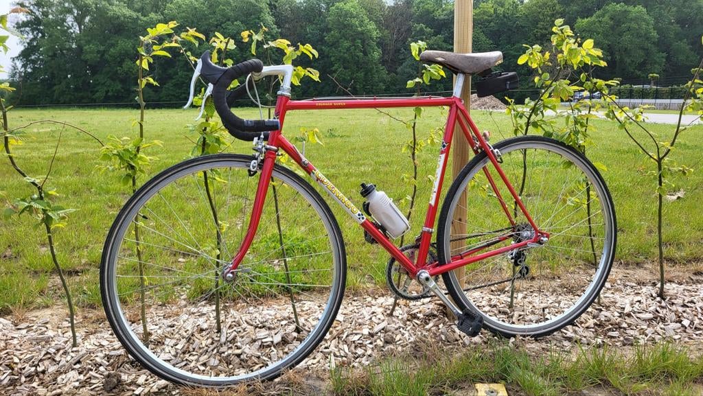 Colgano vintage race fiets, Fietsen en Brommers, Ophalen