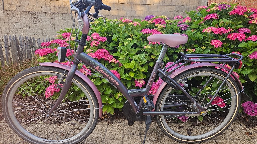 Batavus fiets 24 inch, Ophalen, Versnellingen, Batavus, Gebruikt