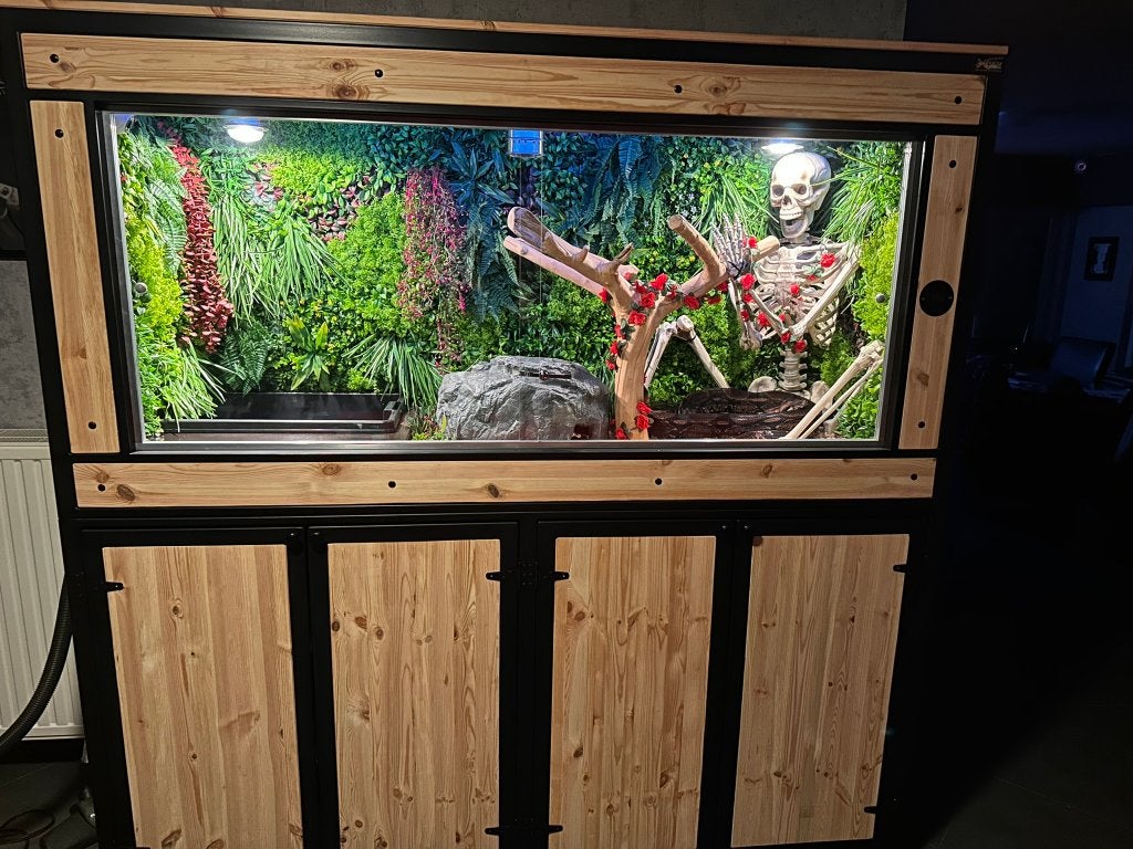 terrarium, Animaux & Accessoires, Reptiles & Amphibiens | Accessoires, Comme neuf, Terrarium ou Paludarium, Enlèvement