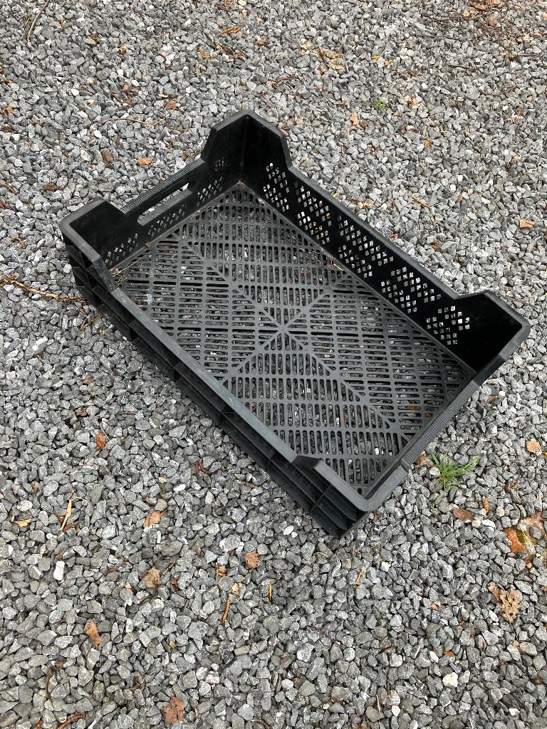 Plastiek bak, Ophalen, Gebruikt, 40 tot 60 cm, 50 tot 75 cm