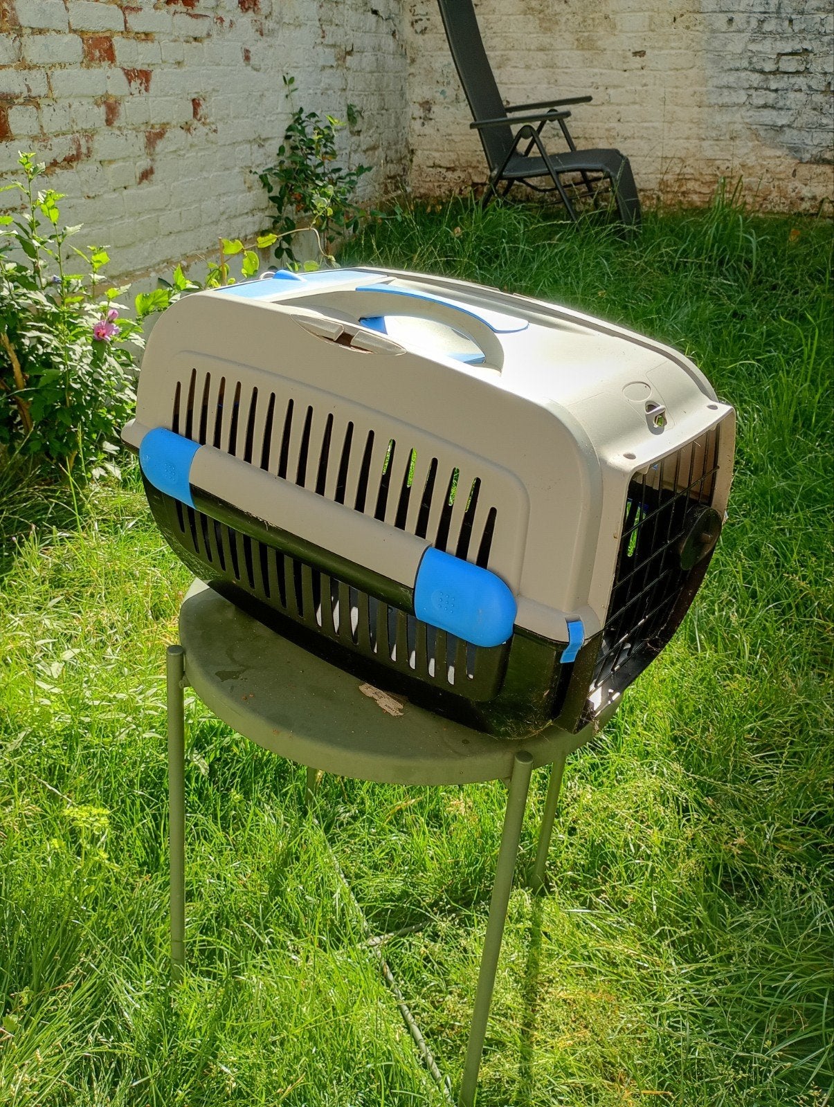 Boîte transport chat, Enlèvement