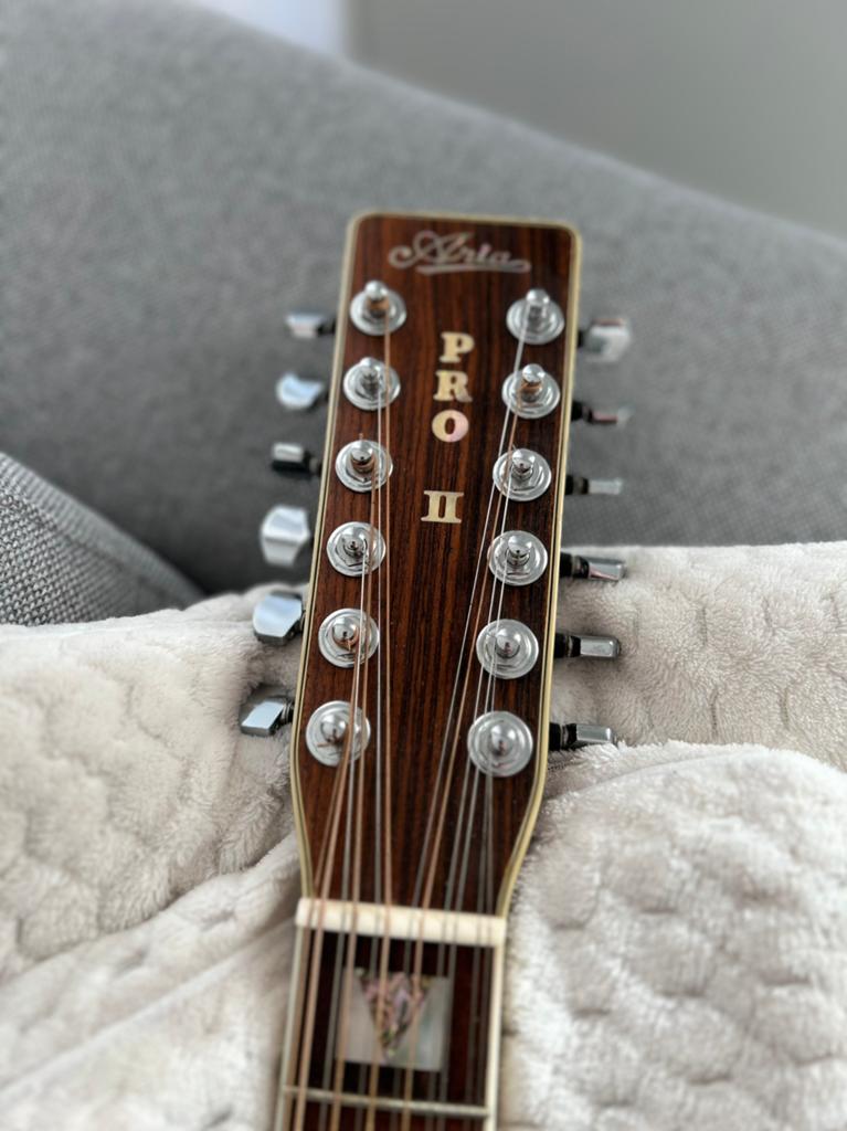 ARIA PRO II PW-65-12 1980 (12string), Enlèvement, Comme neuf