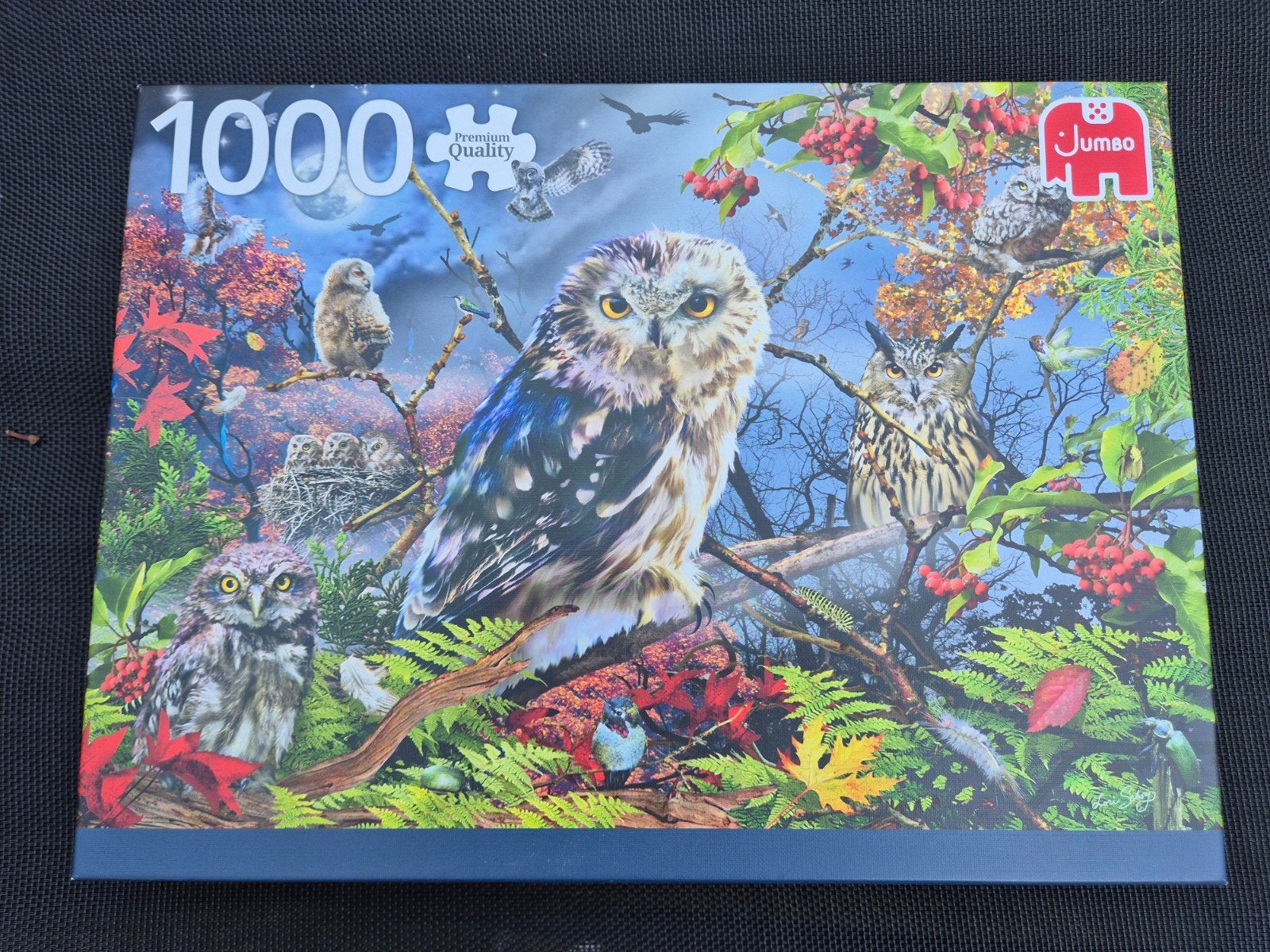 puzzel 1000 stukjes, Hobby en Vrije tijd, Ophalen of Verzenden