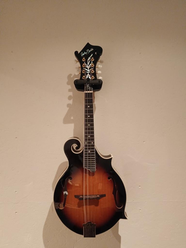 Mandoline in zeer mooie staat met tas, Muziek en Instrumenten, Ophalen, Zo goed als nieuw, Akoestisch