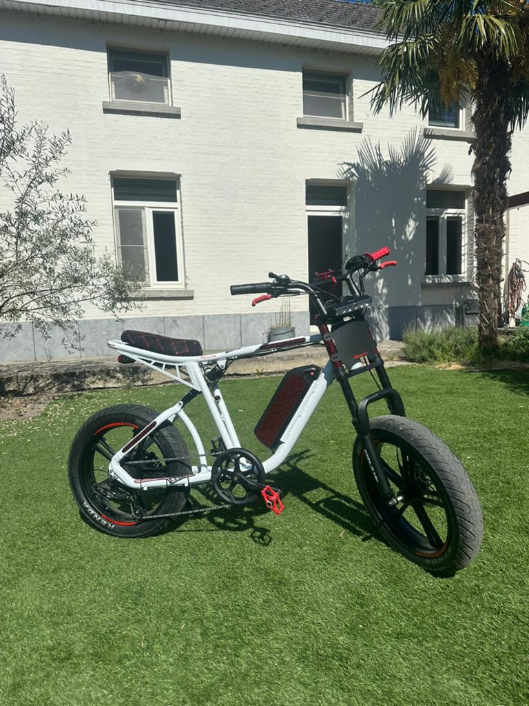 Engwe M20 Fatbike – TUNED – €699, Gebruikt, 51 tot 55 cm, 50 km per accu of meer, Ophalen